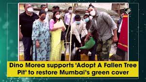 Maybe you would like to learn more about one of these? Dino Morea Supports Adopt A Fallen Tree Pit To Restore Mumbai S Green Cover Youtube