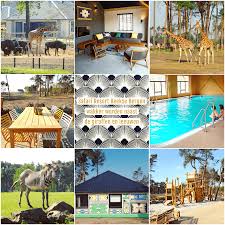 Dit is een unieke ervaring in nederland! Slapen In Safari Resort Beekse Bergen En Ontbijten Met Uitzicht Op De Leeuwen En Giraffen Leuk Met Kids