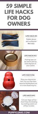 But it doesn't have to be that way. 59 Simple Life Hacks For Dog Owners Dog Owners Dog Life Hacks Dog Care Tips