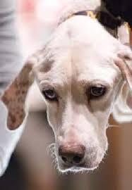 David Boedecker's Instagram, Twitter & Facebook