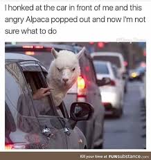 [Image: images?q=tbn:ANd9GcSZYXW6HqgSBemQ8kJMryv...g&usqp=CAU]