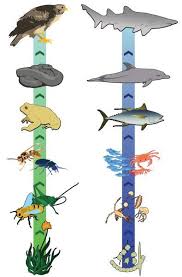 Here S An Idea For Creating A Food Chain On A Ribbon I Like That The Arrows Show Flow Of Energy Food Chain Food Web Science Lessons