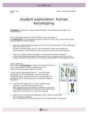 Student exploration human karyotyping gizmo answers. Humankaryotypingse Docx Name Darren Date Student Exploration Human Karyotyping Vocabulary Autosome A Chromosomal Disorder Chromosome Genome Karyotype Course Hero