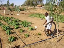 We did not find results for: Ouarkhokh Drip Irrigation System Blog Posts Create