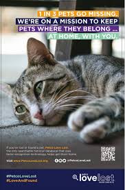 We did not find results for: Kittykind