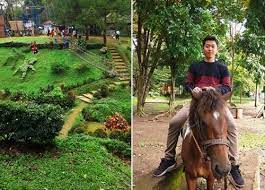 Best steak cut for salad : 13 Potret Terkini Kebun Binatang Medan Biaya Masuk Koleksi Dan Lokasi Pariwisata Sumut