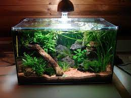 Aquascaping Aquascaping Galerie Forumaquascaping Galerie Aquascaping Forum Planted Aquarium Aquarium Fish Tank Aquascape Aquarium