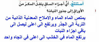اي اجزاء الساق ينقل السكر من الاوراق الى جذور النبات موقع الذكي