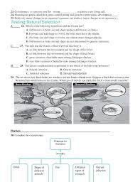 Questions are updated, with more added regularly. Chapter 16 Worksheets