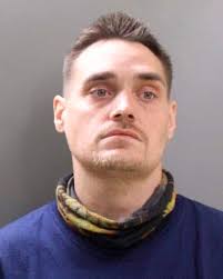 Apollo K-9 starts career strong, locates gun