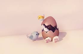 Check spelling or type a new query. Easter Bunny 1080p 2k 4k 5k Hd Wallpapers Free Download Wallpaper Flare