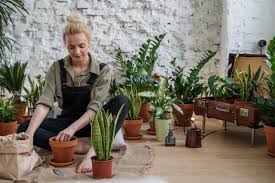 Never transport them in a cold trunk or. Houseplants In Winter Care Lighting Fertilizer And More