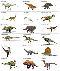 Een fabuleuze sketchboek voor kinderen dol op dino's. Different Types Of Dinosaurs Names And Pictures Novocom Top