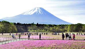 Could A Mount Fuji Eruption Paralyze Tokyo Japan Forward