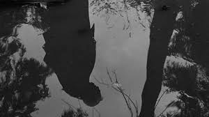 Gabriel works as a cashier in a supermarket. Wild Strawberries 1957 Movie Review Alternate Ending