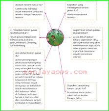 Kunci jawaban buku agama kelas 6 halaman 31. Kunci Jawaban Buku Siswa Tema 7 Kelas 5 Halaman 30 32 33 35 37 41 42 Sanjayaops