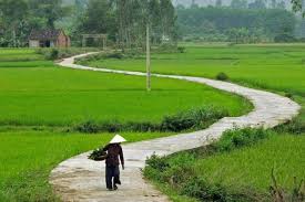 Cùng chiêm ngưỡng những hình ảnh làng quê Việt Nam tuyệt đẹp - Nỗi ...