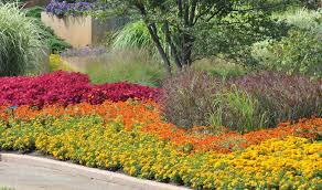 These dainty annual flowers are super easy to grow and a fantastic choice for anyone who loves to use their flowers for bouquets. Choosing Annuals For Your Property Complete Landscaping