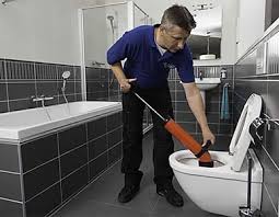 We did not find results for: Deboucher Wc Dhedebouchage