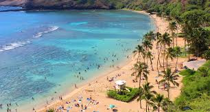 Lodging/accommodations close by hanauma bay nature preserve. Hanauma Bay Nature Preserve History Hanauma Bay State Park
