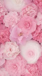 You can choose the image format you need and install it on absolutely any device, be it a smartphone, phone, tablet, computer or laptop. Pink Girly Wallpapers For Iphone Novocom Top