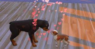 Just now the playable pets mod is one of the best mods for pets in sims 4 if you play with cats and dogs a lot! Best Sims 4 Cats Dogs Mods For Your Pets 2021