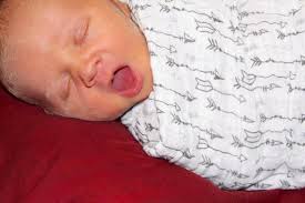 Thank you Shauna Kiely Photography!!