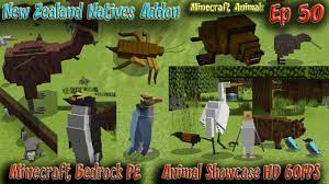 Check spelling or type a new query. New Zealand Natives Animal Addon For Minecraft Bedrock Minecraft Pe Minecraft Animals Episode 50 Youtube