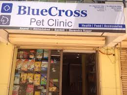 You can see how to get to blue cross pet clinic on our website. Blue Cross Pet Clinic Anand Town Dog Kennel Dealers In Anand Justdial