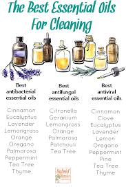 The Best Essential Oils For Cleaning Broken Down By Those That Are Antimicrobial In 2020 Essential Oils Cleaning Essential Oil Cleaning Recipes Essential Oil Recipes
