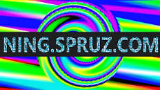 NING SPRUZ