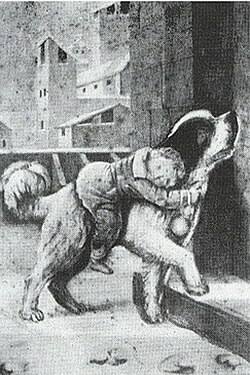 Barry (dog) - Wikipedia