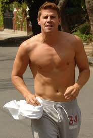 Check spelling or type a new query. Special Agent Seeley Booth Aka Bones Star David Boreanaz