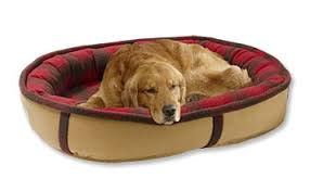 Memory Foam Dog Bed Orvis