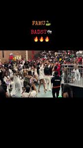 🐍🐘🔥‼️ #famu #spring #rush #2024 #deltasigmatheta #sorority #badst