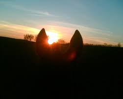 Seit dem beginn unserer traditionellen zeitrechnung am 01.01.0001 (1. Sonnenuntergang Sonnenaufgang Sonnenuntergang Heute Sonnenaufgangszeiten Sonnenuntergangszeiten Sonnenuntergang De