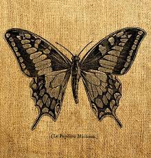 Pin By Linda As On On The Outside Vintage Butterfly Tattoo Butterfly Tattoo Vintage Tattoo