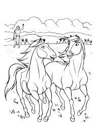 I wonder how they will adapt the second half. 2 Beaux Chevaux Coloriage Spirit Coloriages Pour Enfants