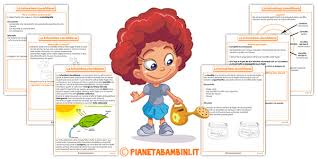 Le piante nella vita degli esseri umani (e degli animali) sono, non solo importanti, ma imprescindibili. Schede Didattiche Sulla Fotosintesi Clorofilliana Per Bambini Pianetabambini It