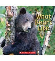 Product What Bears Like 1st Grade Books Bear Scholastic Teachers