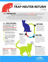 It does not allow itself to be handled or touched, and usually remains hidden from humans. Why Trap Neuter Return