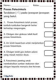 Koleksi soalan ini diwujudkan bagi memudahkan semua pihak terutama ibu bapa dan guru dalam mendapatkan soalan latih tubi dan seterusnya meningkatkan pengetahuan dan. Bijak Sains Sr Sains Tahun 4 Unit 4 Tumbuh Tumbuhan Facebook