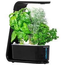Aerogarden Sprout Hydroponic Garden System Black Best Buy Canada