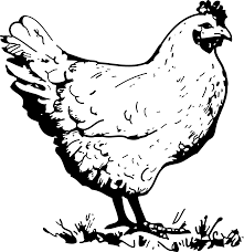 Black And White Hen Clipart Chicken Clipart Black And White Google Search Chicken Clip Art Chicken Coloring Pages Chicken Coloring