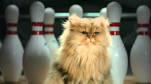 Ge Money Bank Kocour A Kuzelky Youtube