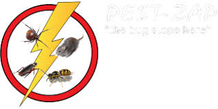 How to find best pest control services/supplies near me? Pest Control Melbourne Eastern Suburbs Pest Zap 0435 510 218