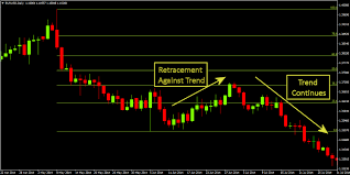 Calculate Fibonacci Retracements Automatically - Tradinformed