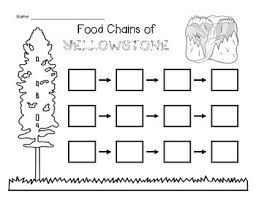 Worksheets are a very important part of learning english. Yellowstone National Park Worksheets Teaching Resources Tpt