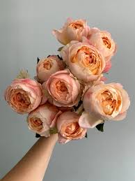 Lafayette florist wants to be here for our neighbors who need some hope. Princess Aiko Garden Roses Best Flower Wallpaper Flower Bouqet Flower Aesthetic