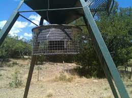 Freestanding feeders can be set up virtually anywhere, while hanging and. Best Coon Guards For Your Deer Feeder Texasbowhunter Com Community Discussion Forums